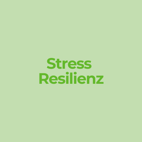 BODYMIND CAMPUS Seminar Stress Resilienz Dunkelgrüner Text „Stress Resilienz" auf hellgrünem Hintergrund