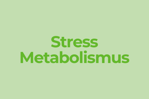 Dunkelgrüner Text „Stress Metabolismus" auf hellgrünem Hintergrund